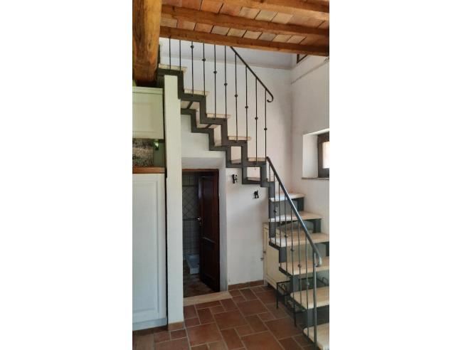 Anteprima foto 5 - Terreno Agricolo/Coltura in Vendita a San Quirico d'Orcia (Siena)