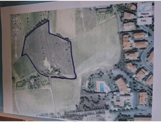 Anteprima foto 8 - Terreno Agricolo/Coltura in Vendita a San Quirico d'Orcia (Siena)