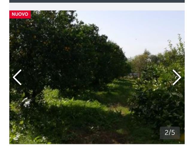 Anteprima foto 2 - Terreno Agricolo/Coltura in Vendita a San Sperate (Sud Sardegna)