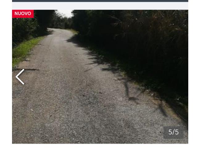 Anteprima foto 4 - Terreno Agricolo/Coltura in Vendita a San Sperate (Sud Sardegna)