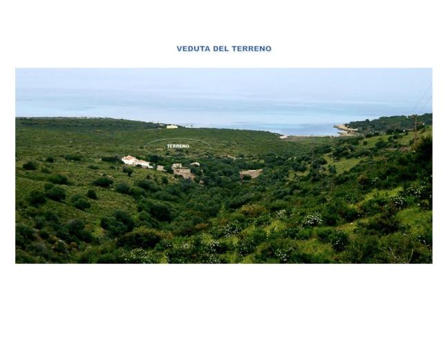 Anteprima foto 1 - Terreno Agricolo/Coltura in Vendita a San Teodoro - Caddu