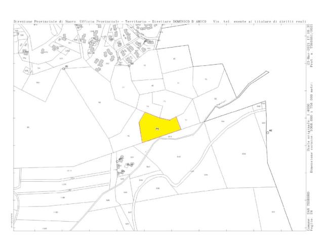 Anteprima foto 5 - Terreno Agricolo/Coltura in Vendita a San Teodoro - Caddu