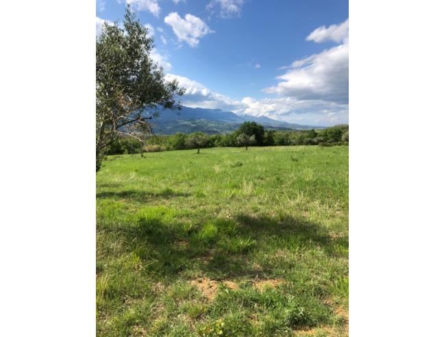 Anteprima foto 1 - Terreno Agricolo/Coltura in Vendita a San Valentino in Abruzzo Citeriore (Pescara)