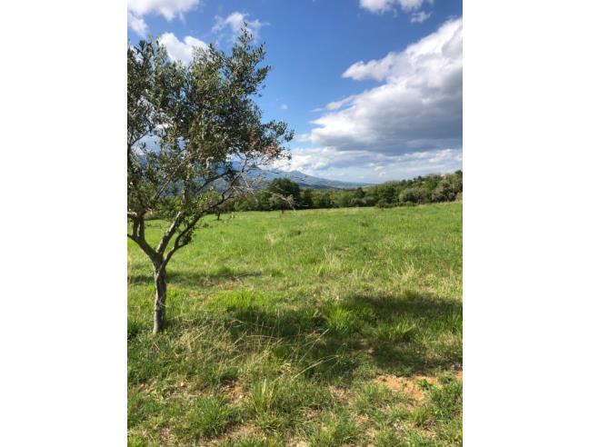 Anteprima foto 2 - Terreno Agricolo/Coltura in Vendita a San Valentino in Abruzzo Citeriore (Pescara)