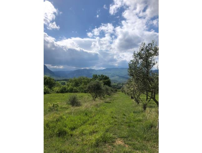 Anteprima foto 3 - Terreno Agricolo/Coltura in Vendita a San Valentino in Abruzzo Citeriore (Pescara)