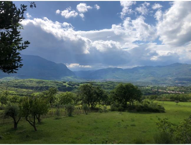 Anteprima foto 5 - Terreno Agricolo/Coltura in Vendita a San Valentino in Abruzzo Citeriore (Pescara)