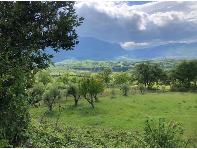 Anteprima foto 6 - Terreno Agricolo/Coltura in Vendita a San Valentino in Abruzzo Citeriore (Pescara)