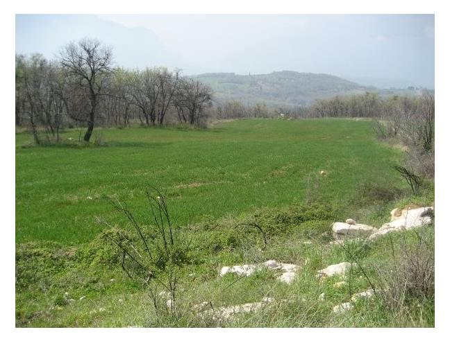Anteprima foto 8 - Terreno Agricolo/Coltura in Vendita a San Valentino in Abruzzo Citeriore (Pescara)