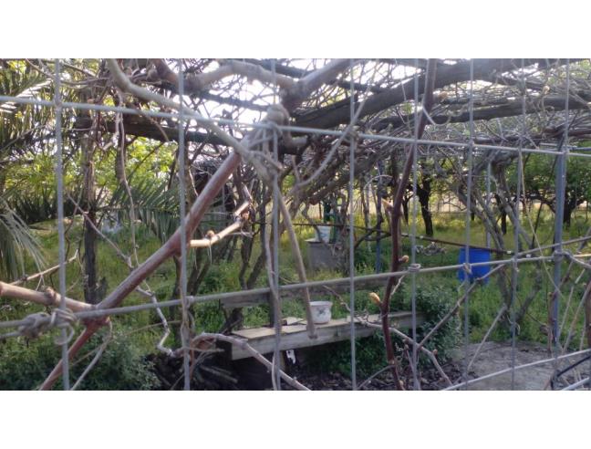Anteprima foto 2 - Terreno Agricolo/Coltura in Vendita a San Valentino Torio (Salerno)