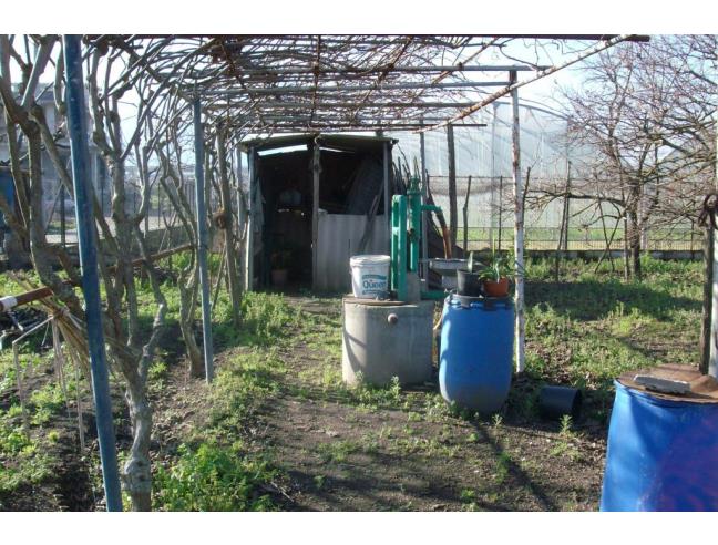 Anteprima foto 3 - Terreno Agricolo/Coltura in Vendita a San Valentino Torio (Salerno)