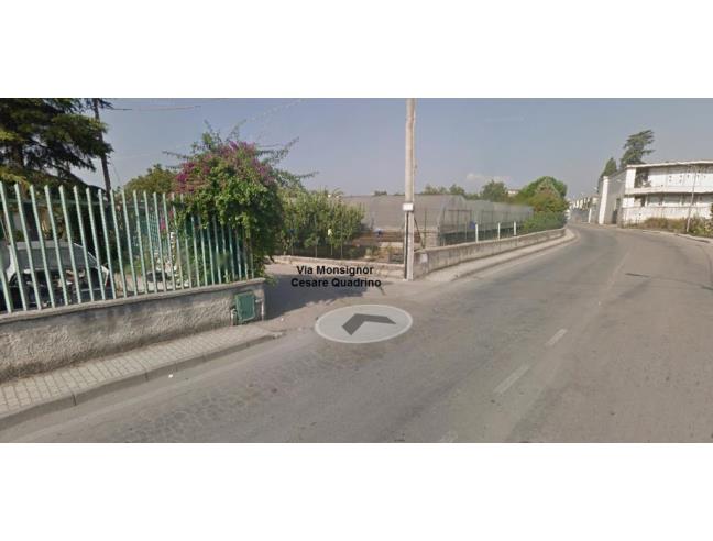 Anteprima foto 4 - Terreno Agricolo/Coltura in Vendita a San Valentino Torio (Salerno)