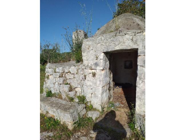 Anteprima foto 2 - Terreno Agricolo/Coltura in Vendita a San Vito dei Normanni (Brindisi)