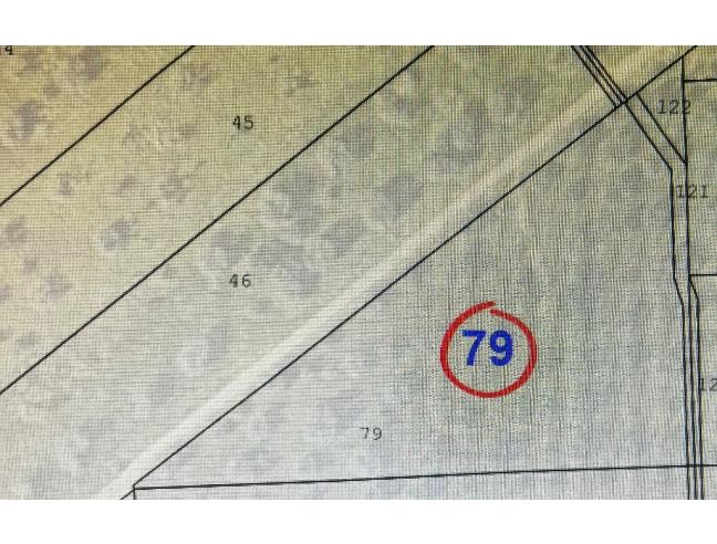 Anteprima foto 2 - Terreno Agricolo/Coltura in Vendita a San Vito dei Normanni (Brindisi)