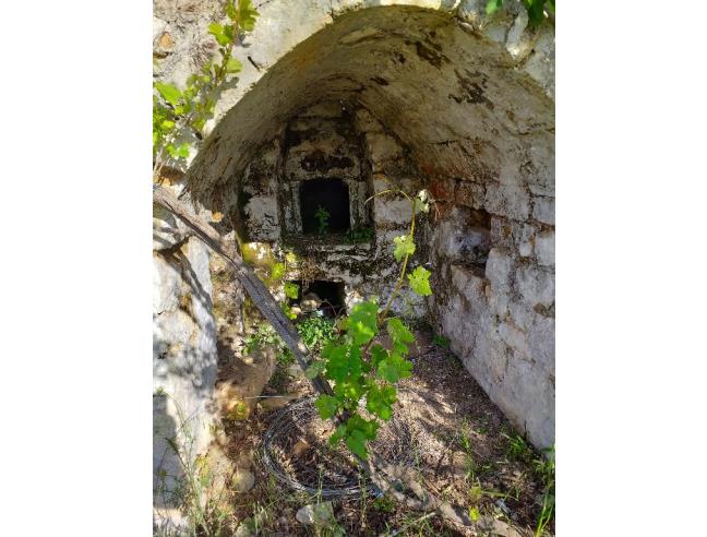 Anteprima foto 3 - Terreno Agricolo/Coltura in Vendita a San Vito dei Normanni (Brindisi)