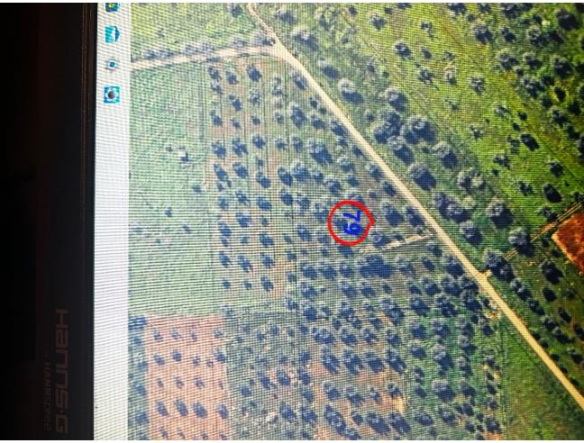 Anteprima foto 3 - Terreno Agricolo/Coltura in Vendita a San Vito dei Normanni (Brindisi)