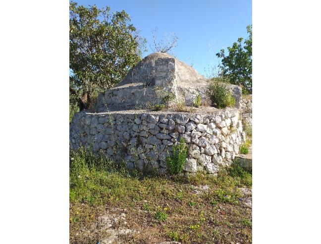 Anteprima foto 4 - Terreno Agricolo/Coltura in Vendita a San Vito dei Normanni (Brindisi)