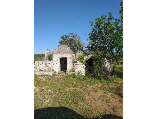 Anteprima foto 5 - Terreno Agricolo/Coltura in Vendita a San Vito dei Normanni (Brindisi)