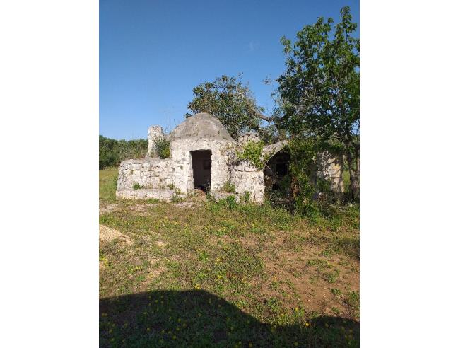 Anteprima foto 6 - Terreno Agricolo/Coltura in Vendita a San Vito dei Normanni (Brindisi)