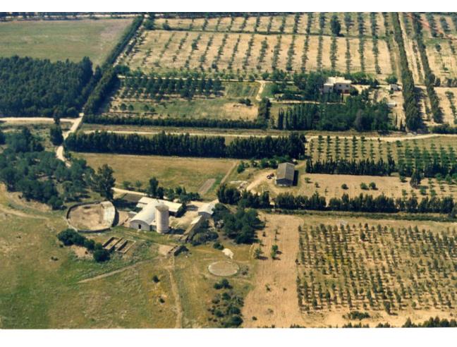 Anteprima foto 3 - Terreno Agricolo/Coltura in Vendita a San Vito (Sud Sardegna)