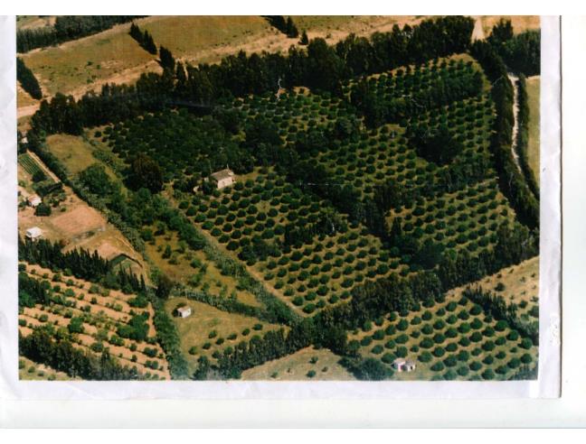 Anteprima foto 4 - Terreno Agricolo/Coltura in Vendita a San Vito (Sud Sardegna)