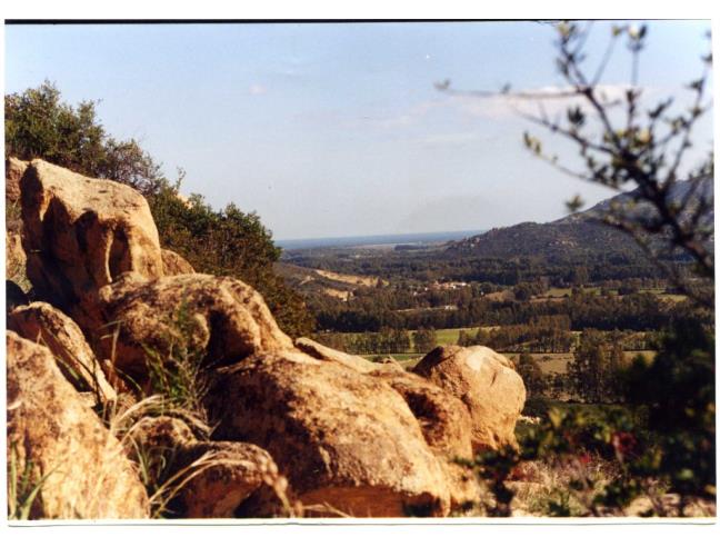 Anteprima foto 5 - Terreno Agricolo/Coltura in Vendita a San Vito (Sud Sardegna)