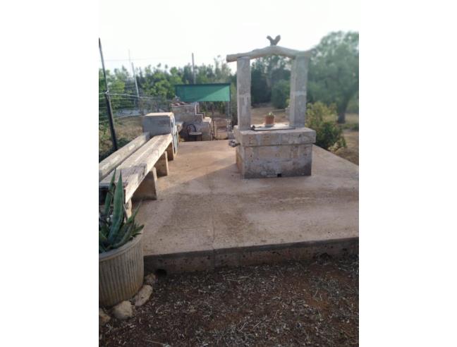 Anteprima foto 2 - Terreno Agricolo/Coltura in Vendita a Sannicola - Chiesanuova