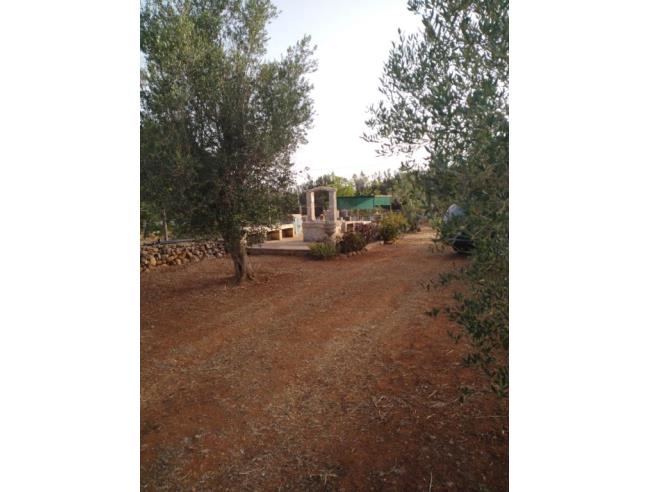 Anteprima foto 4 - Terreno Agricolo/Coltura in Vendita a Sannicola - Chiesanuova