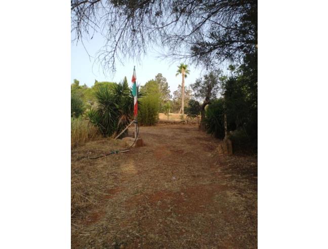 Anteprima foto 7 - Terreno Agricolo/Coltura in Vendita a Sannicola - Chiesanuova