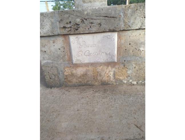 Anteprima foto 8 - Terreno Agricolo/Coltura in Vendita a Sannicola - Chiesanuova