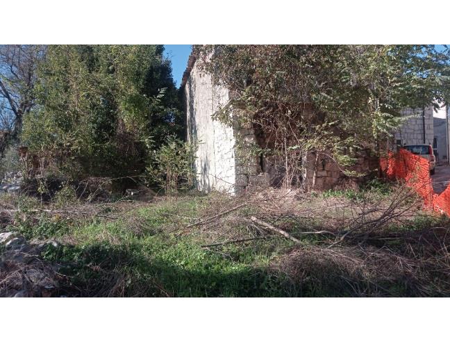 Anteprima foto 3 - Terreno Agricolo/Coltura in Vendita a Sant'Agapito (Isernia)