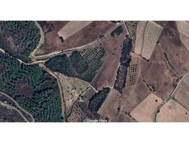 Anteprima foto 2 - Terreno Agricolo/Coltura in Vendita a Sant'Andrea Frius (Sud Sardegna)