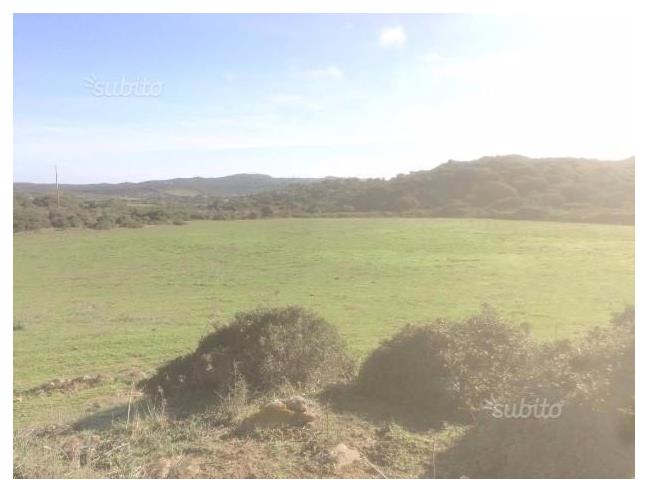 Anteprima foto 1 - Terreno Agricolo/Coltura in Vendita a Santa Teresa Gallura (Sassari)