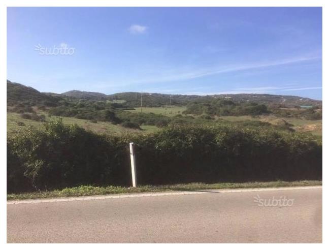 Anteprima foto 2 - Terreno Agricolo/Coltura in Vendita a Santa Teresa Gallura (Sassari)