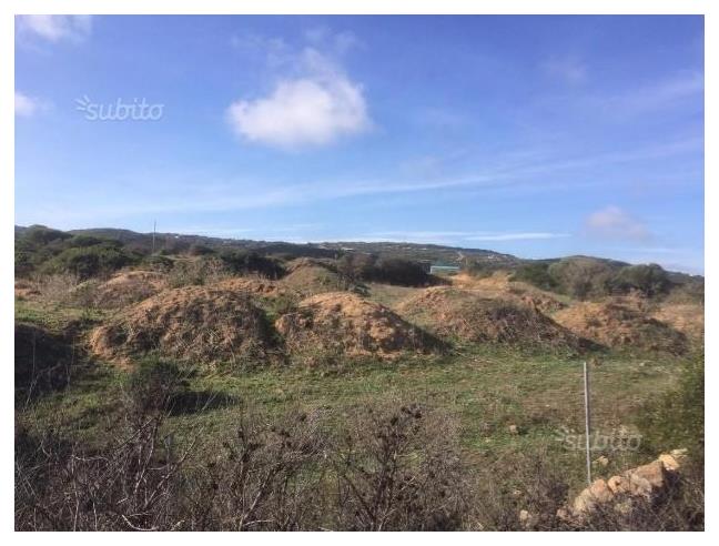 Anteprima foto 4 - Terreno Agricolo/Coltura in Vendita a Santa Teresa Gallura (Sassari)