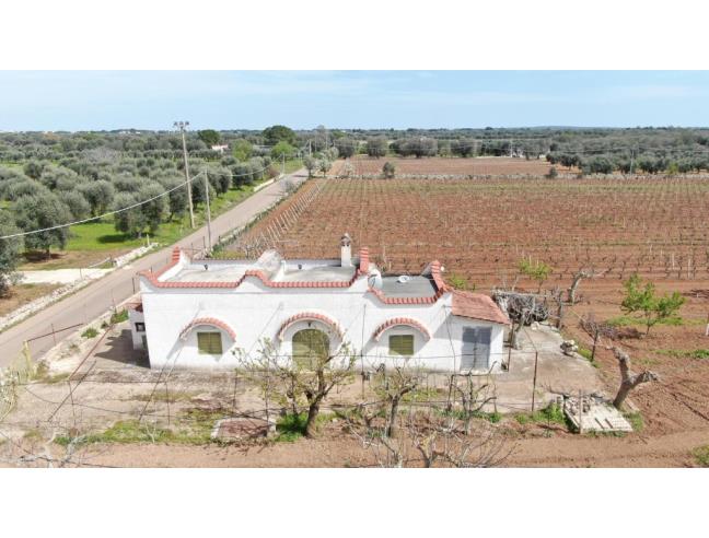 Anteprima foto 1 - Terreno Agricolo/Coltura in Vendita a Sava (Taranto)