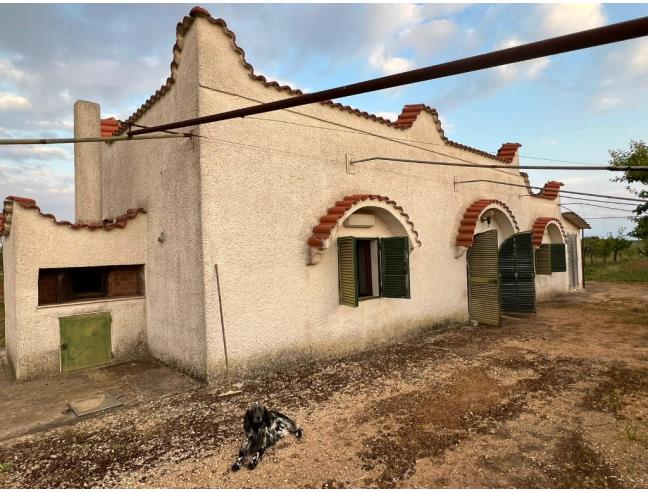 Anteprima foto 2 - Terreno Agricolo/Coltura in Vendita a Sava (Taranto)