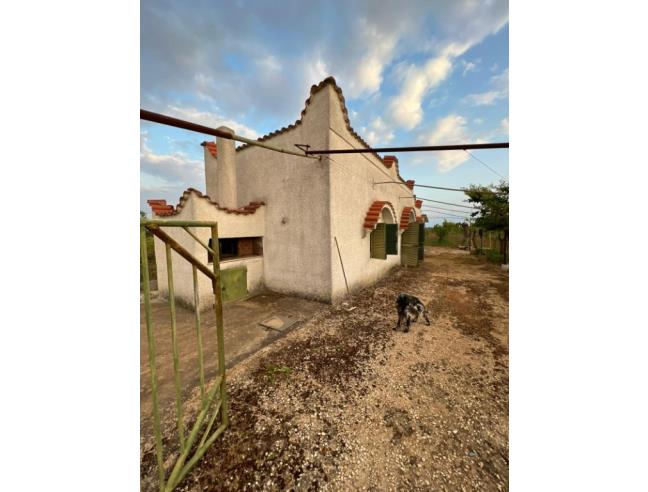 Anteprima foto 3 - Terreno Agricolo/Coltura in Vendita a Sava (Taranto)