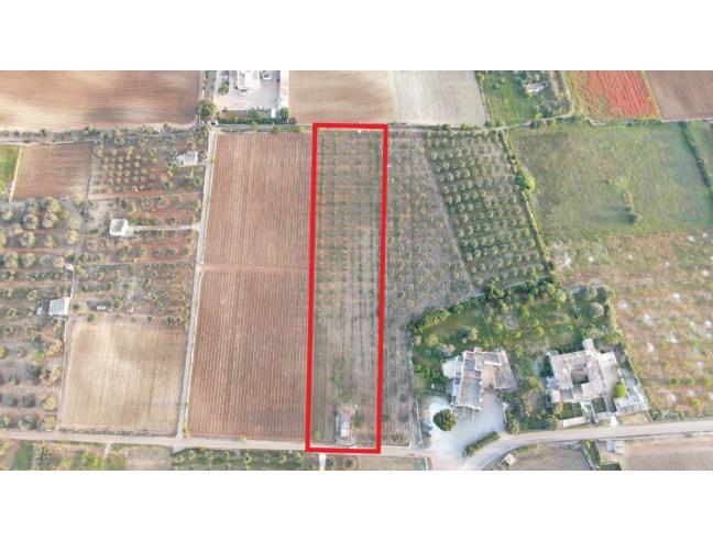 Anteprima foto 5 - Terreno Agricolo/Coltura in Vendita a Sava (Taranto)