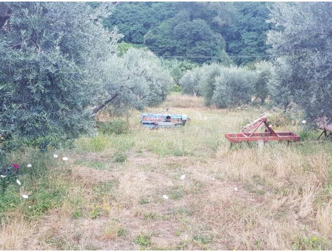 Anteprima foto 4 - Terreno Agricolo/Coltura in Vendita a Scandicci - Mosciano