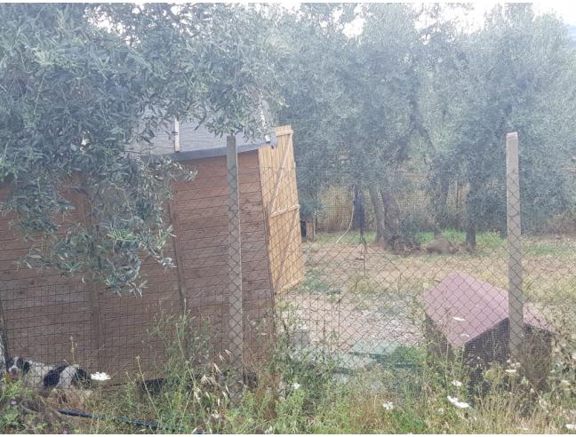 Anteprima foto 8 - Terreno Agricolo/Coltura in Vendita a Scandicci - Mosciano