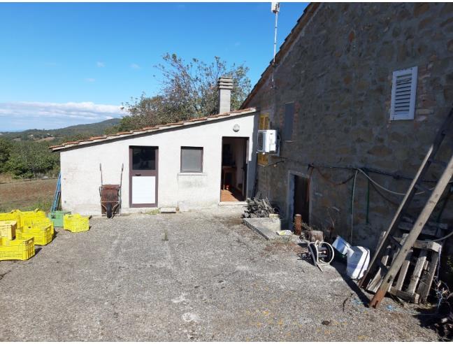 Anteprima foto 2 - Terreno Agricolo/Coltura in Vendita a Scansano - Pancole