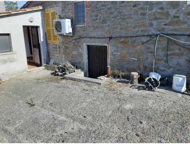 Anteprima foto 3 - Terreno Agricolo/Coltura in Vendita a Scansano - Pancole