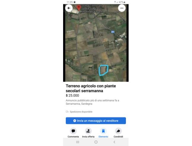Anteprima foto 3 - Terreno Agricolo/Coltura in Vendita a Serramanna (Sud Sardegna)