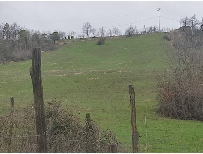 Anteprima foto 1 - Terreno Agricolo/Coltura in Vendita a Serramazzoni - Riccò