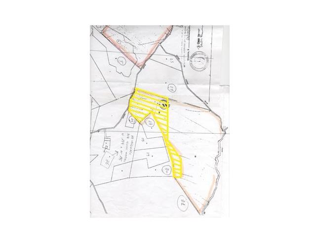 Anteprima foto 2 - Terreno Agricolo/Coltura in Vendita a Serramazzoni - Riccò