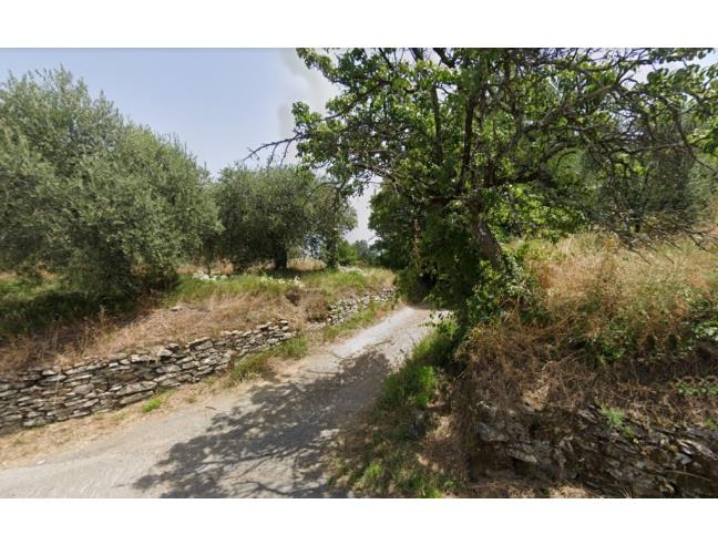 Anteprima foto 1 - Terreno Agricolo/Coltura in Vendita a Serravalle Pistoiese - Ponte Stella