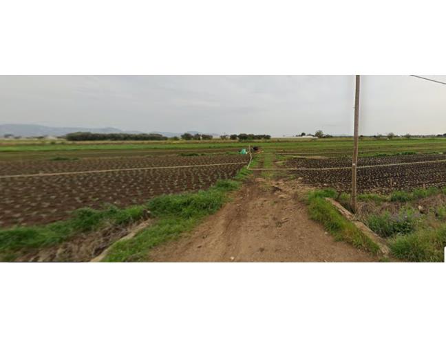 Anteprima foto 2 - Terreno Agricolo/Coltura in Vendita a Sezze (Latina)