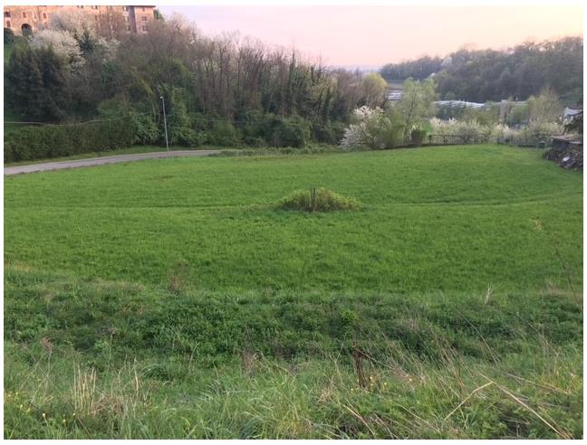 Anteprima foto 1 - Terreno Agricolo/Coltura in Vendita a Sirtori (Lecco)