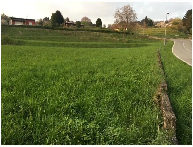 Anteprima foto 2 - Terreno Agricolo/Coltura in Vendita a Sirtori (Lecco)