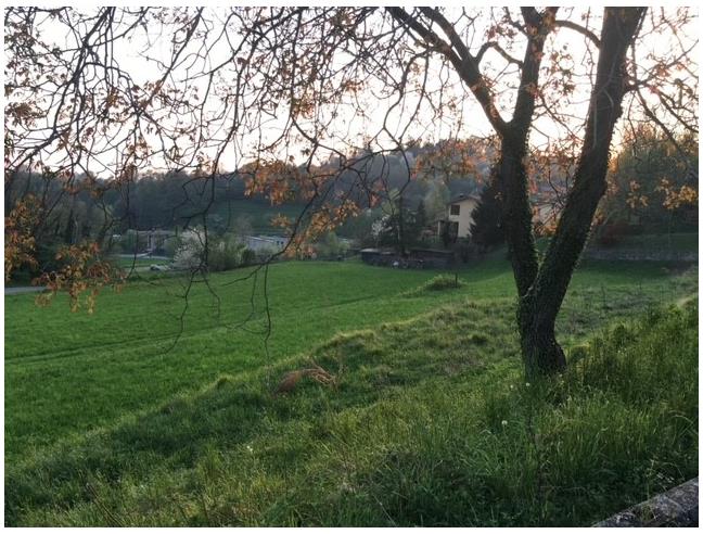 Anteprima foto 3 - Terreno Agricolo/Coltura in Vendita a Sirtori (Lecco)